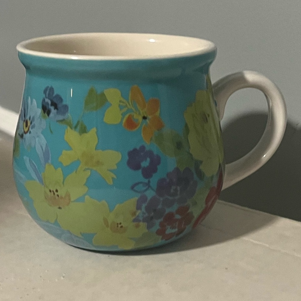 🌺 EUC Pioneer Woman QVC Rare Belly Mug/Cup, Qty 1, Teal Blue